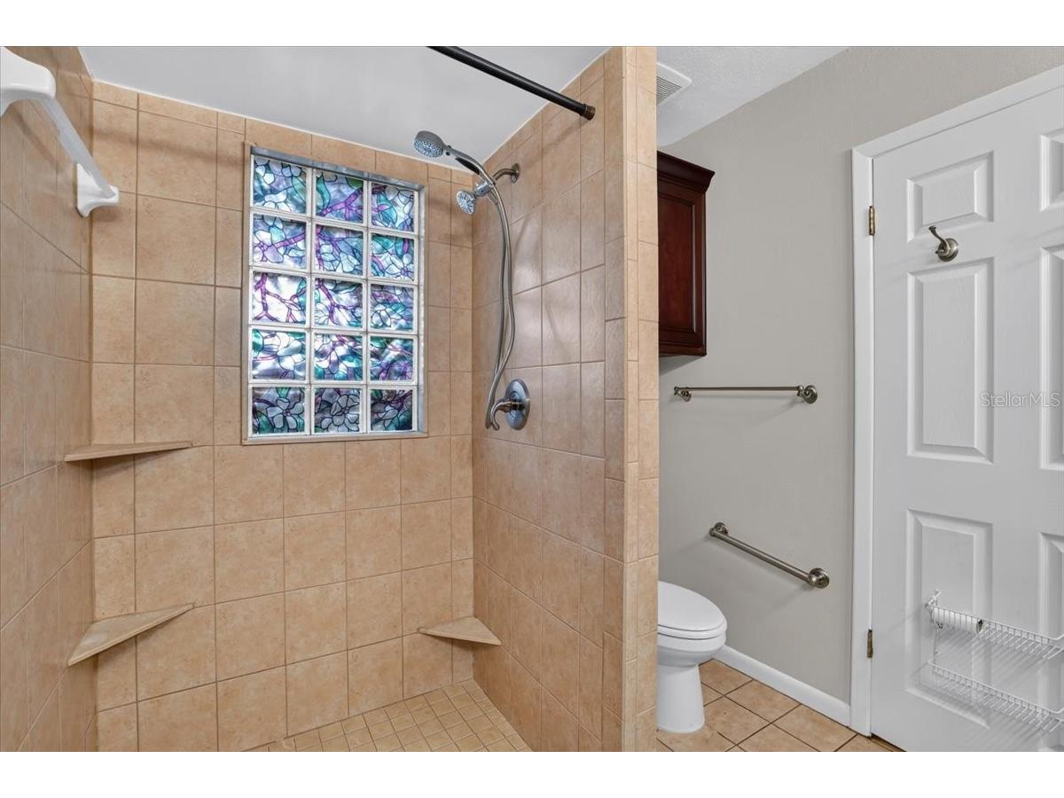 1013 Black Knight Drive Valrico FL 33594 TB8524003 image17