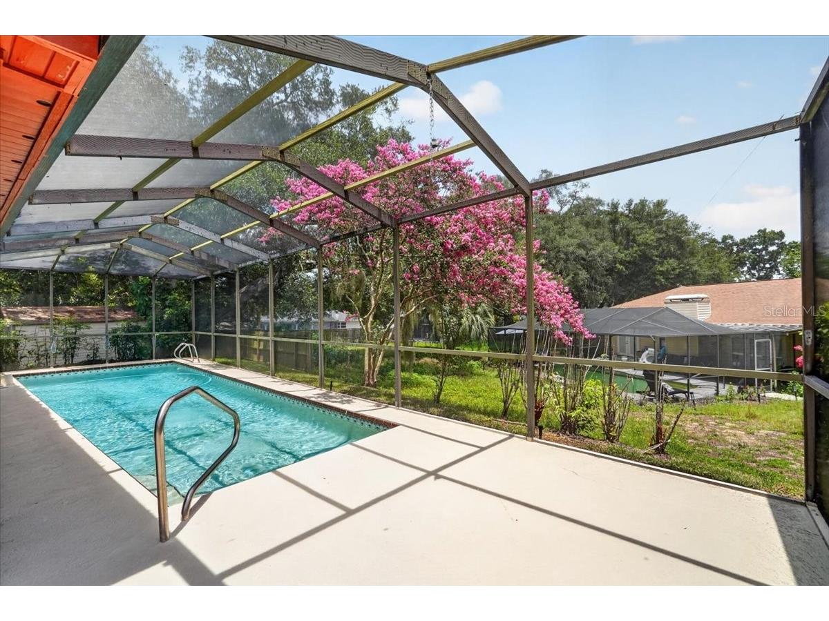 1013 Black Knight Drive Valrico FL 33594 TB8524003 image27