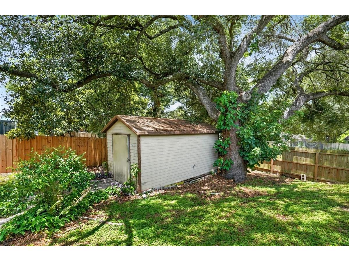 1013 Black Knight Drive Valrico FL 33594 TB8524003 image29