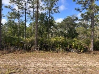 1013 (BLK 299 LOT 18) Alba Drive Indian Lake Estates FL 33855 TB8511929 image1