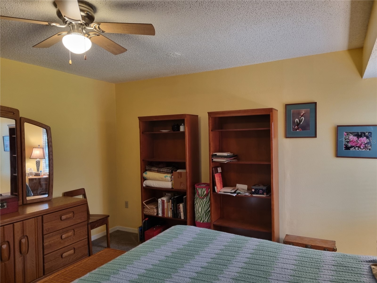 1013 Caravel Court Tarpon Springs FL 34689 TB8470429 image19