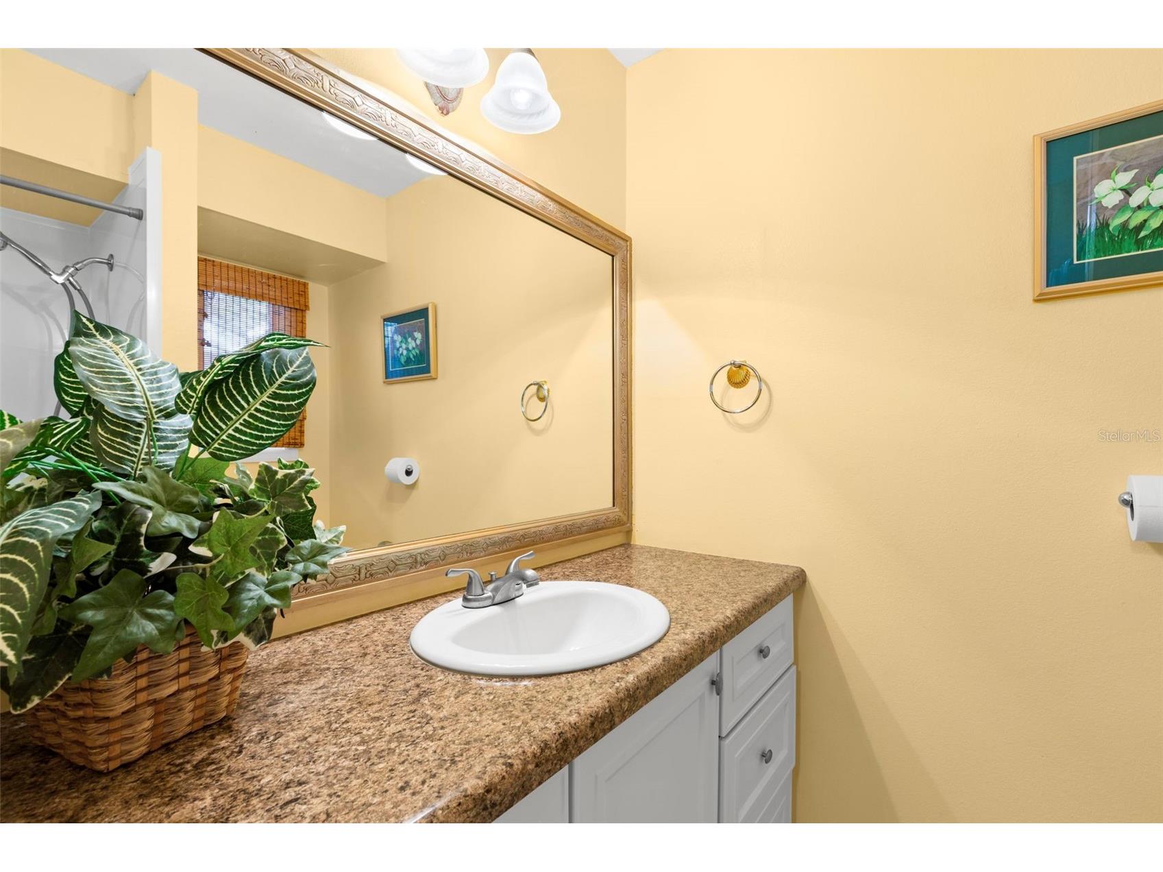 1013 Caravel Court Tarpon Springs FL 34689 TB8470429 image24