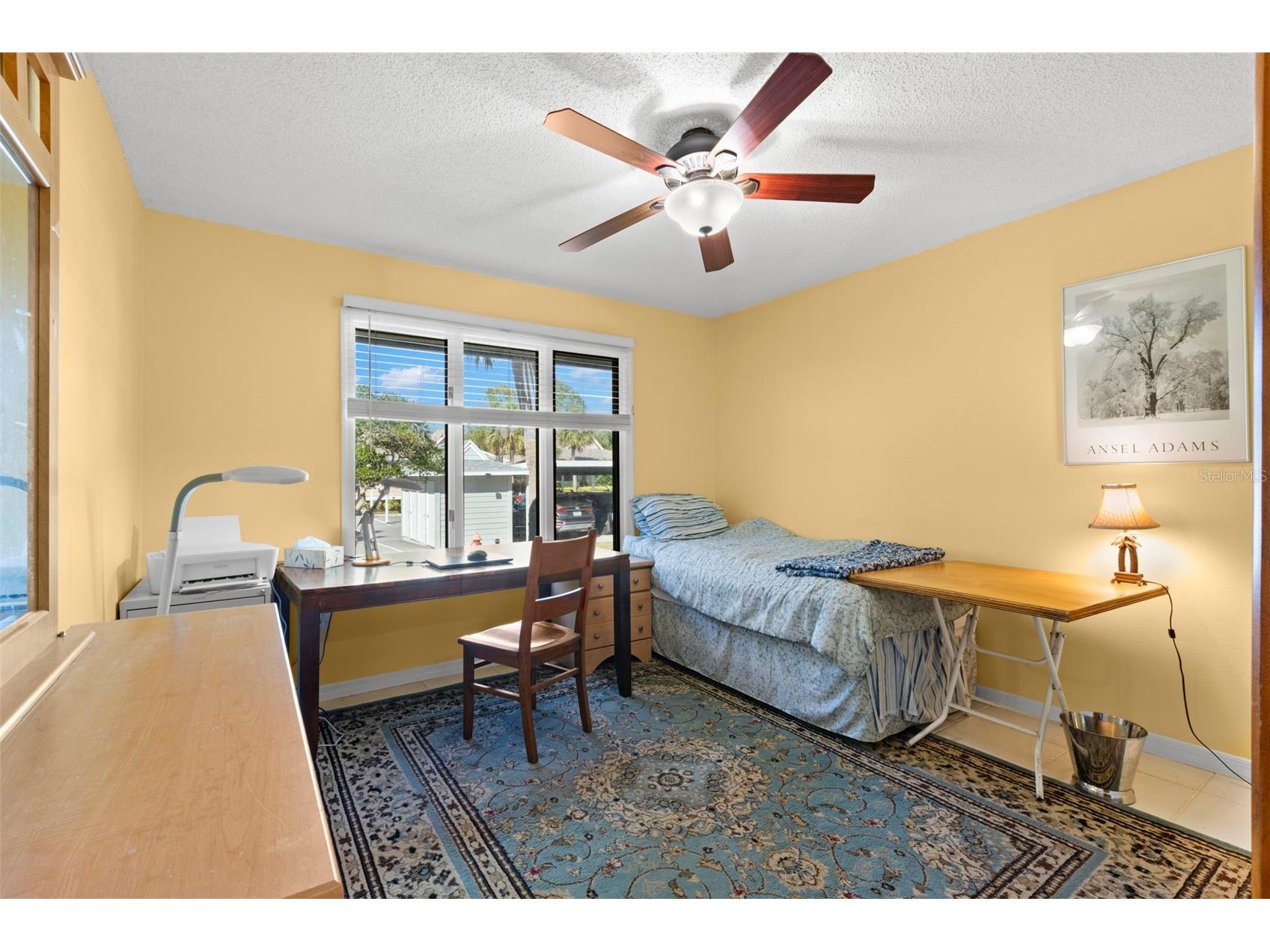 1013 Caravel Court Tarpon Springs FL 34689 TB8470429 image26