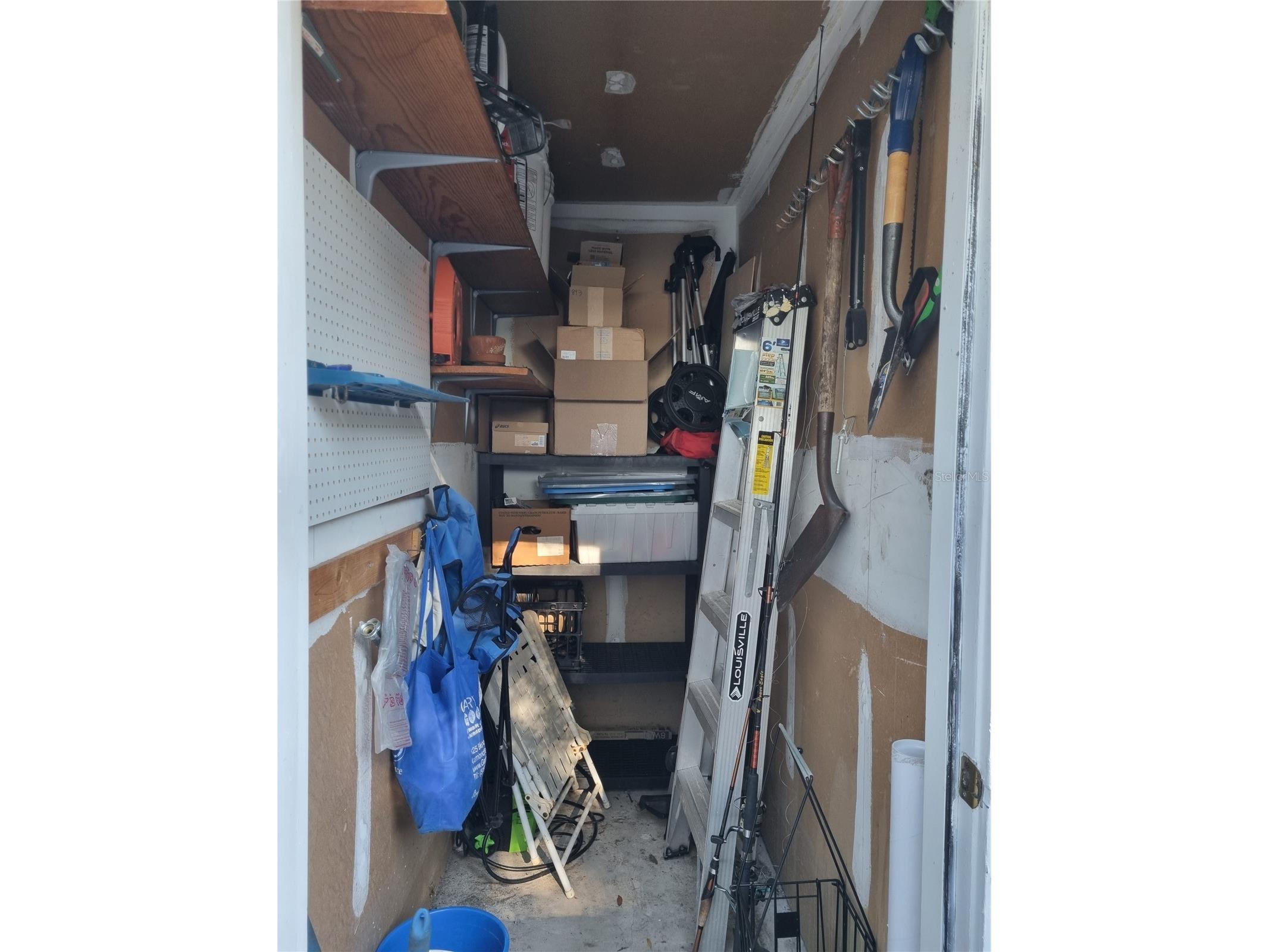 1013 Caravel Court Tarpon Springs FL 34689 TB8470429 image28