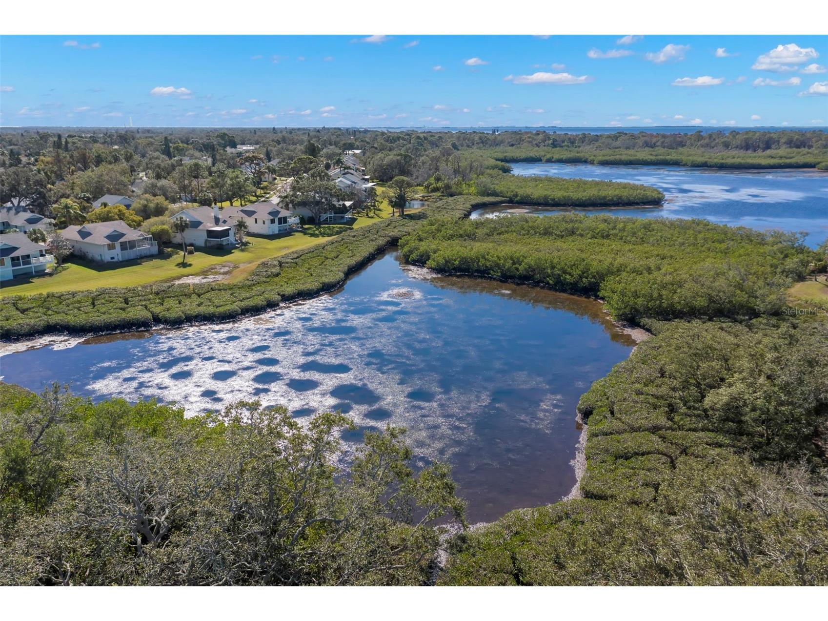 1013 Caravel Court Tarpon Springs FL 34689 TB8470429 image41