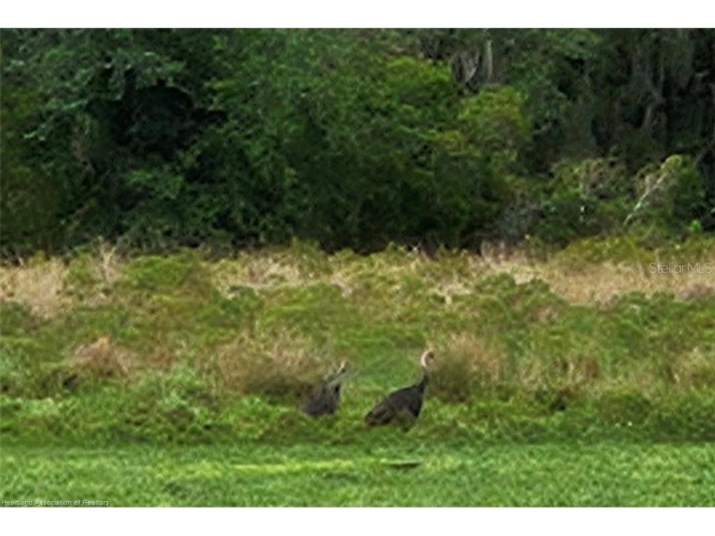 1013 Cattle Ranch Road Venus FL 33960 L4945582 image2