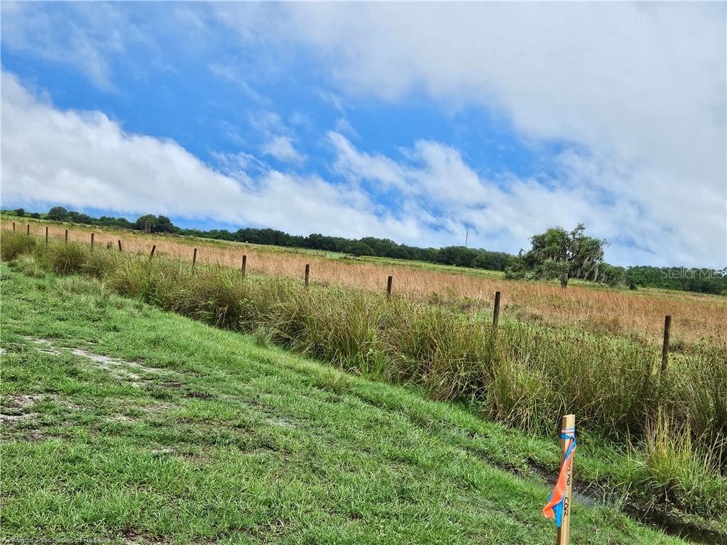 1013 Cattle Ranch Road Venus FL 33960 L4945582 image3