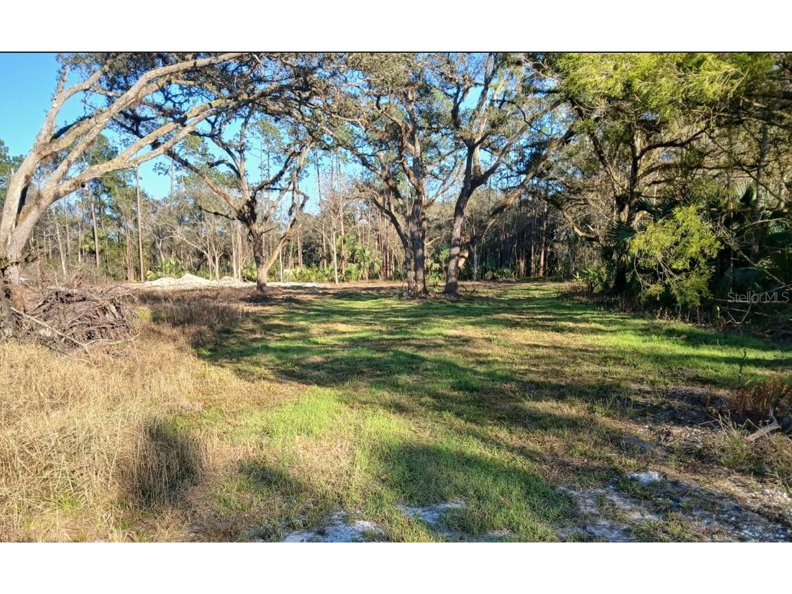 1013 Cupid Avenue Christmas FL 32709 S5146769 image1