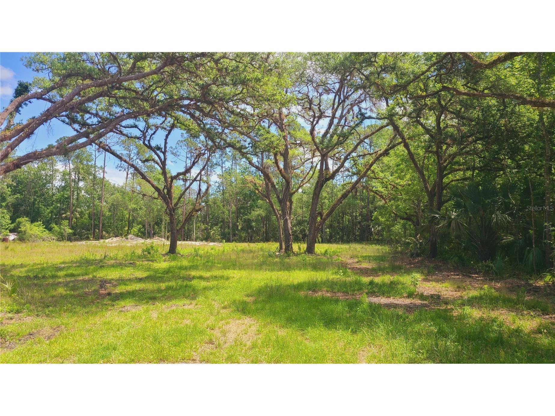 1013 Cupid Avenue Christmas FL 32709 S5146769 image10