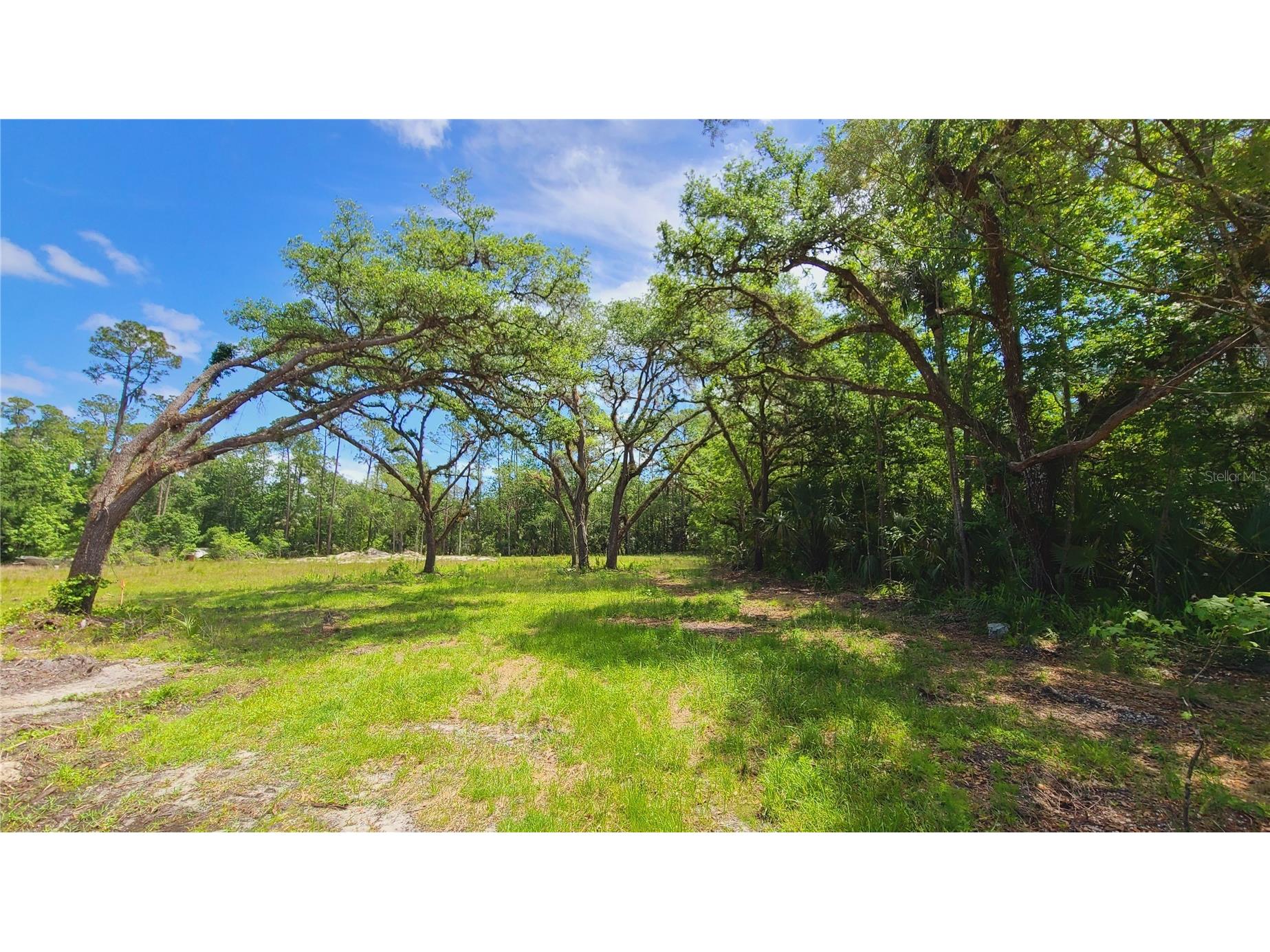 1013 Cupid Avenue Christmas FL 32709 S5146769 image12