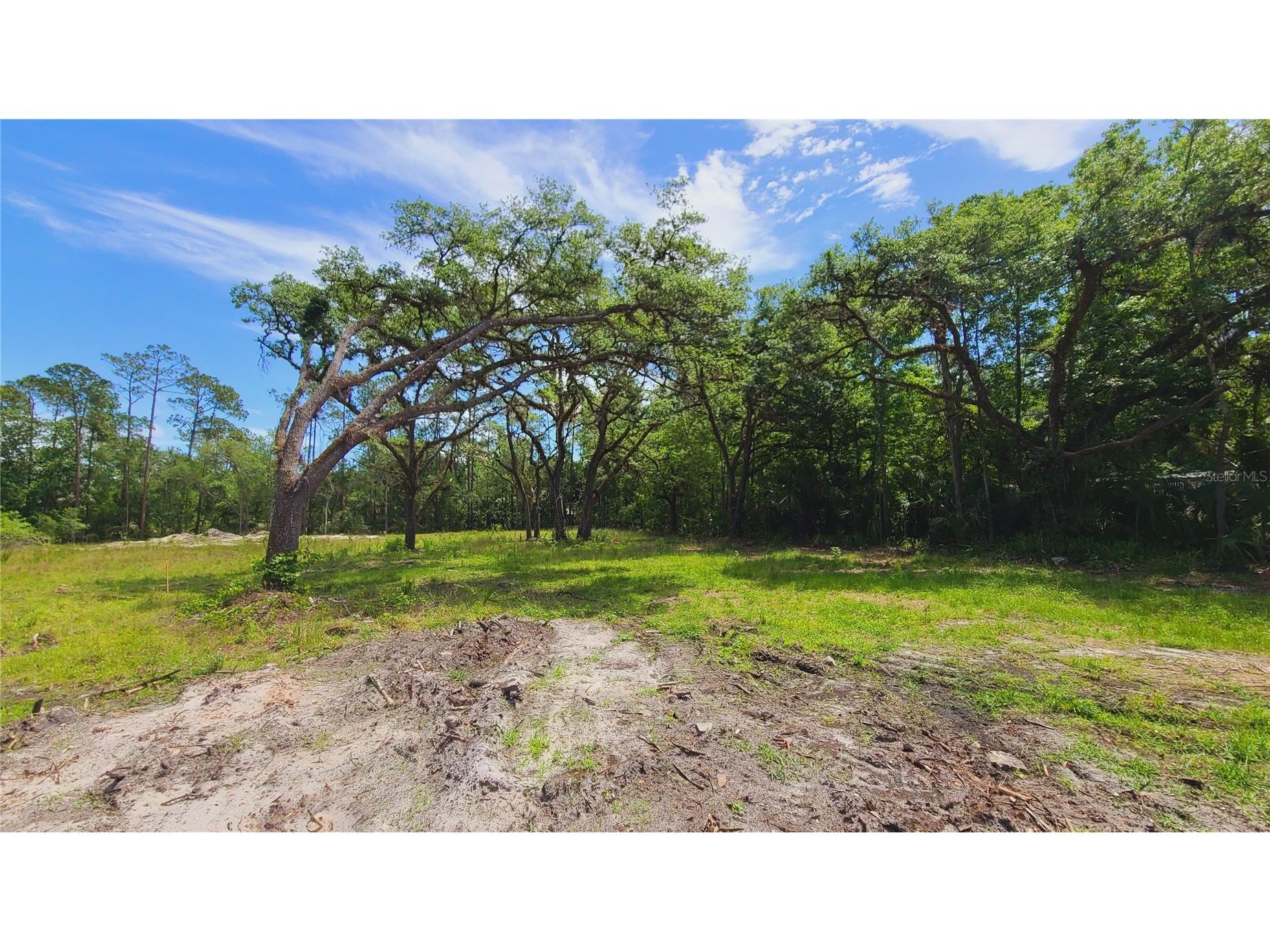 1013 Cupid Avenue Christmas FL 32709 S5146769 image13