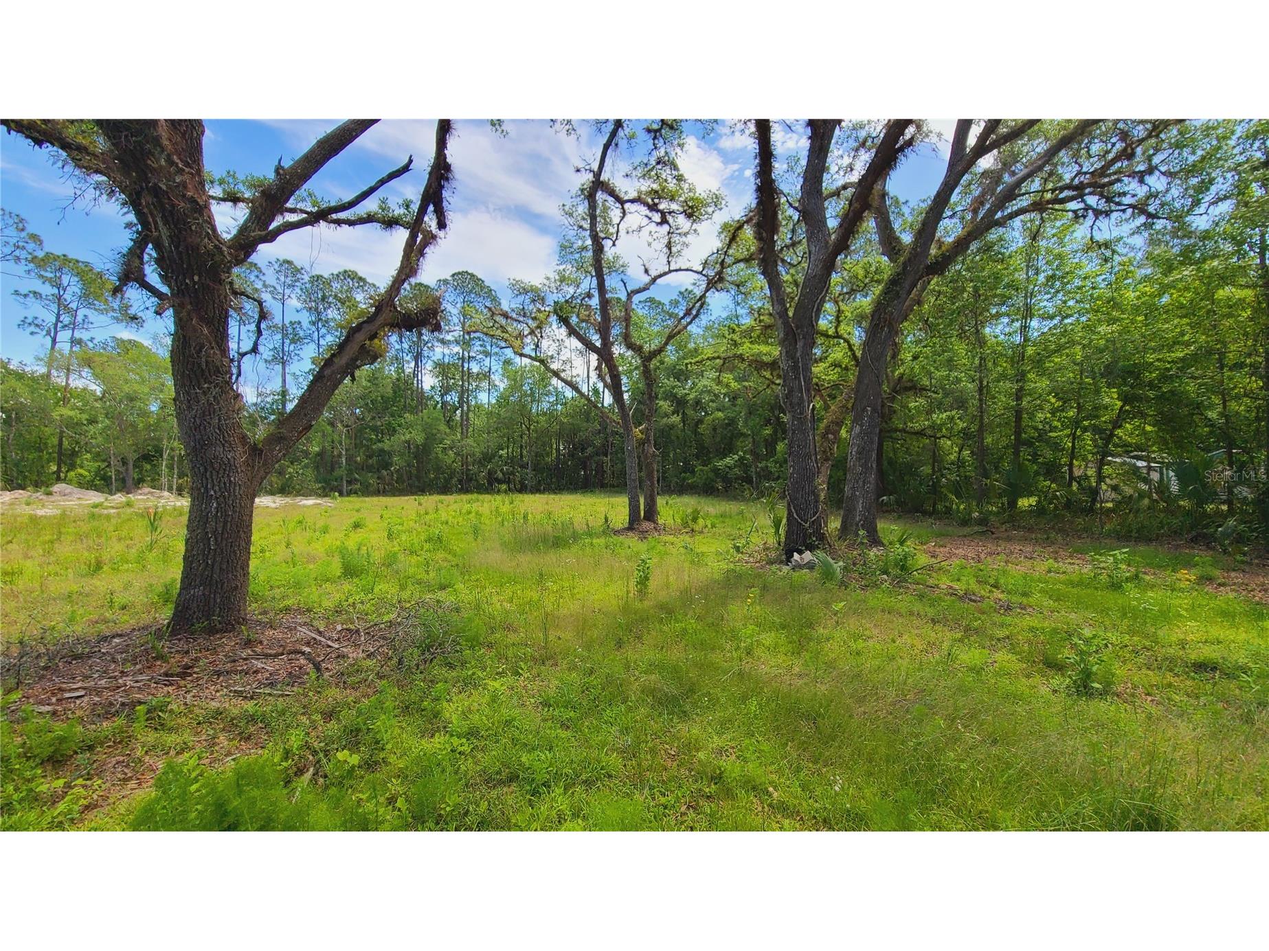 1013 Cupid Avenue Christmas FL 32709 S5146769 image14