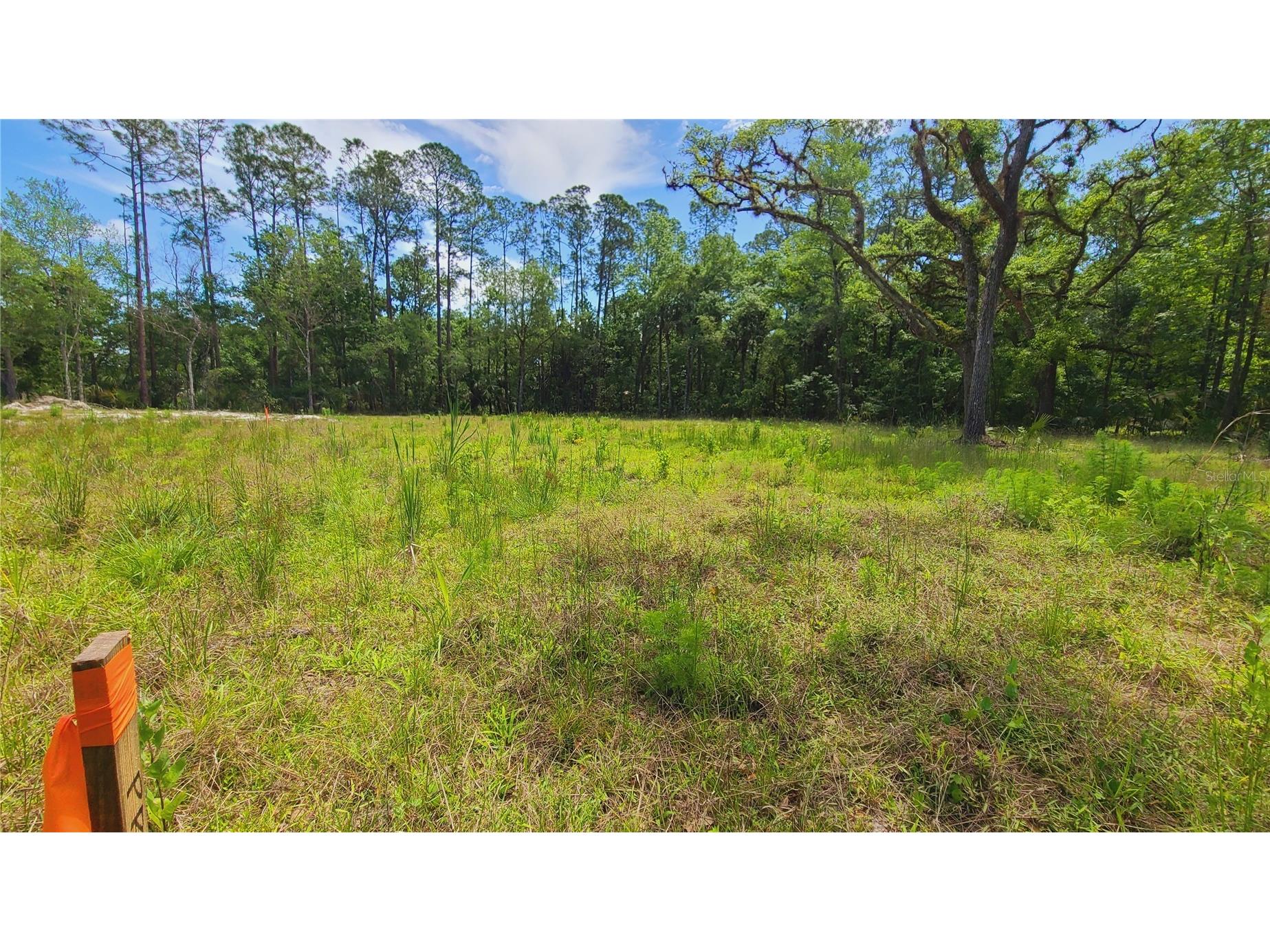 1013 Cupid Avenue Christmas FL 32709 S5146769 image17