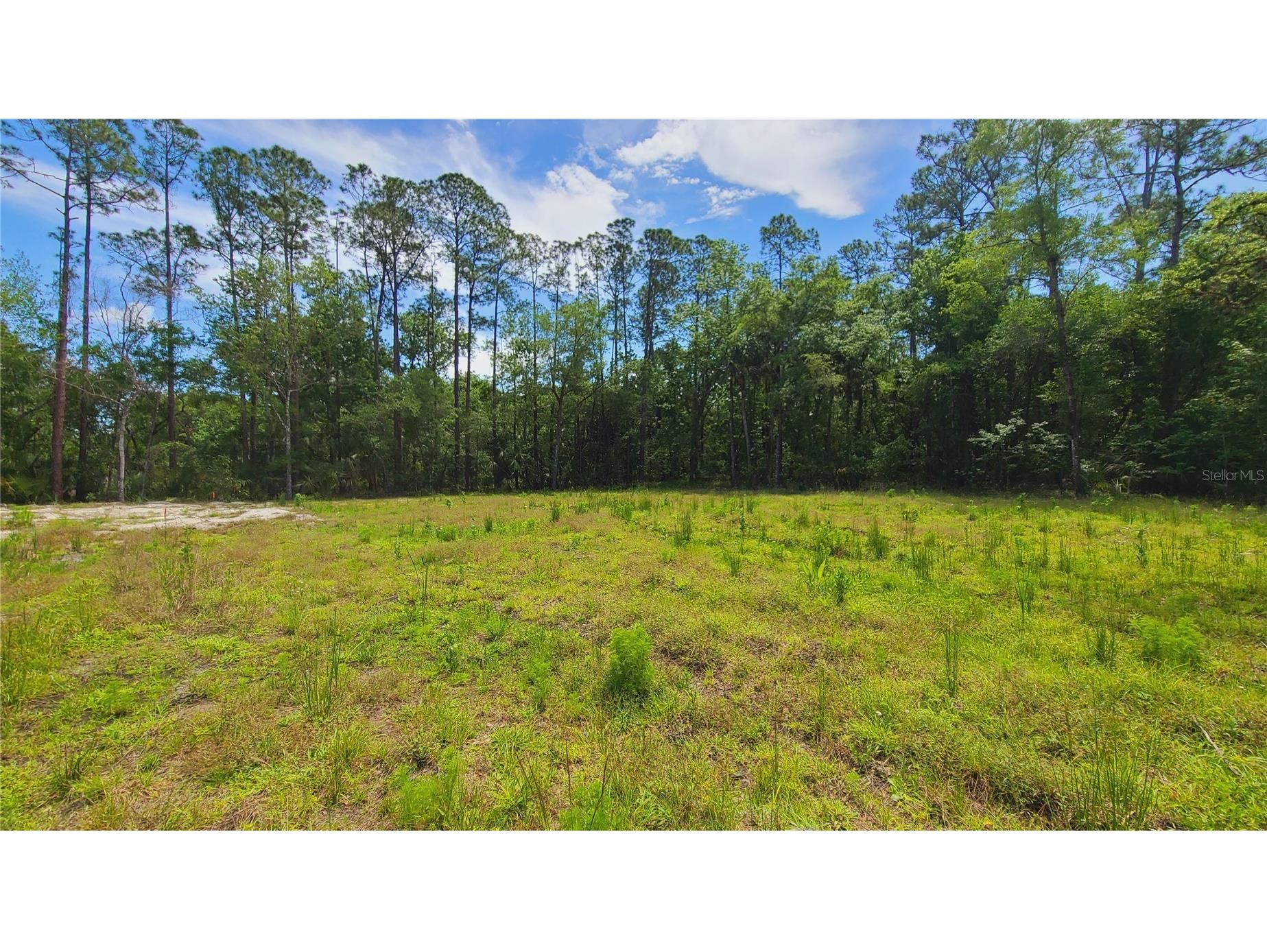 1013 Cupid Avenue Christmas FL 32709 S5146769 image18