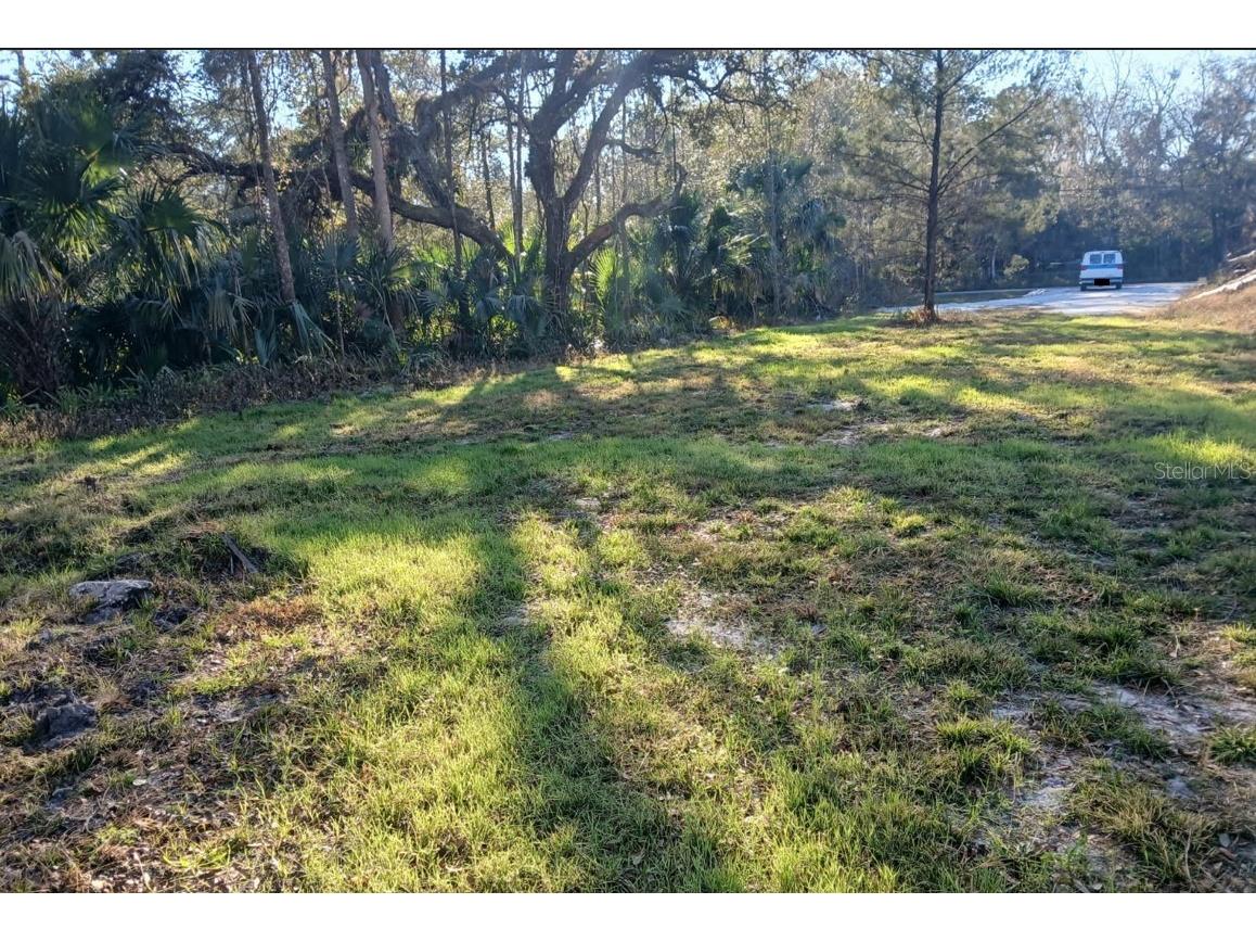 1013 Cupid Avenue Christmas FL 32709 S5146769 image2
