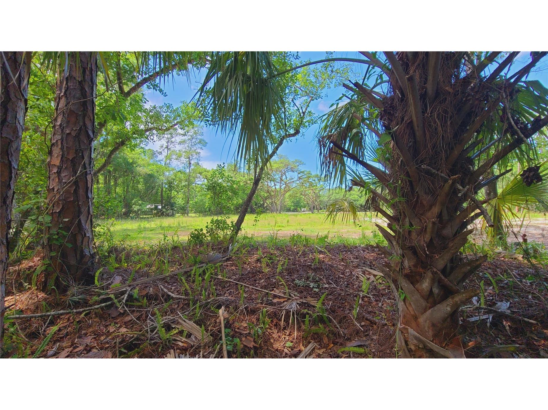 1013 Cupid Avenue Christmas FL 32709 S5146769 image28