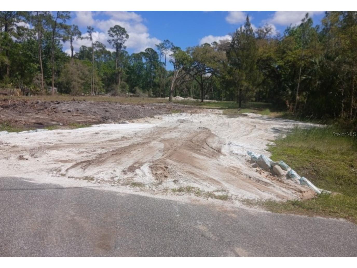 1013 Cupid Avenue Christmas FL 32709 S5146769 image3