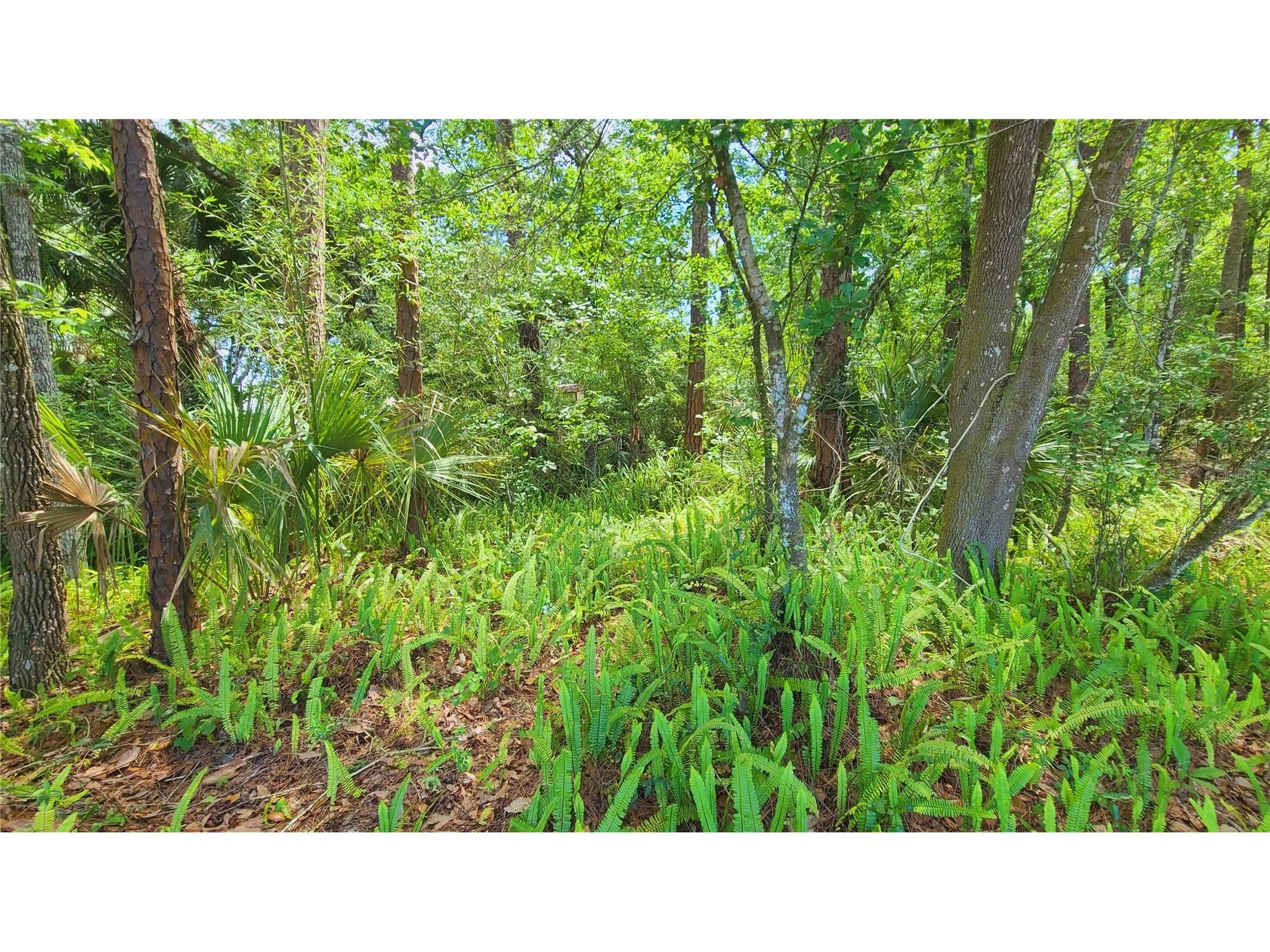 1013 Cupid Avenue Christmas FL 32709 S5146769 image30