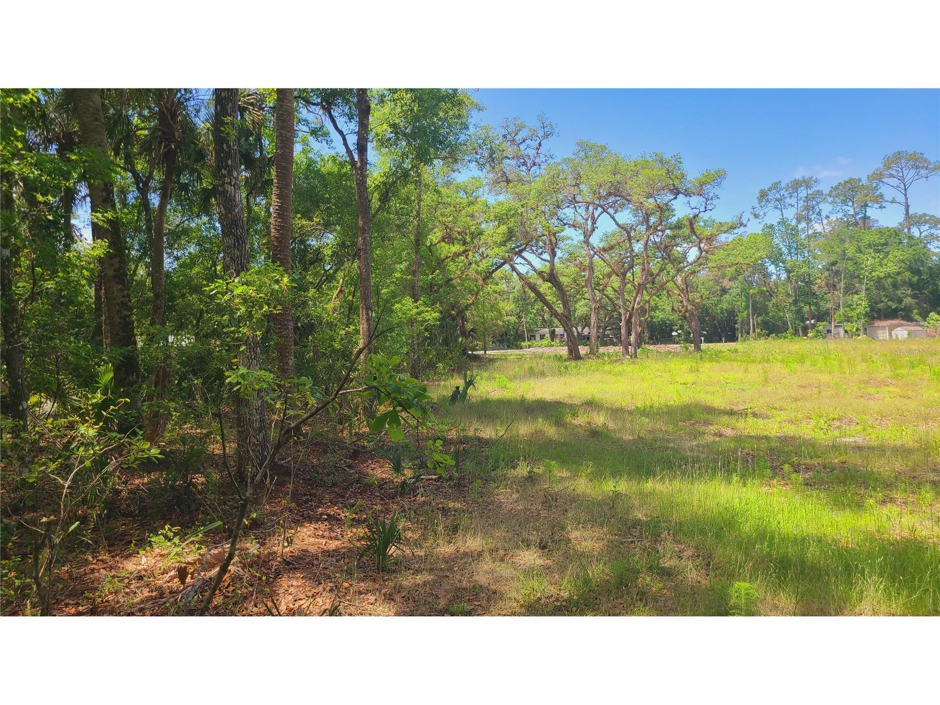1013 Cupid Avenue Christmas FL 32709 S5146769 image33