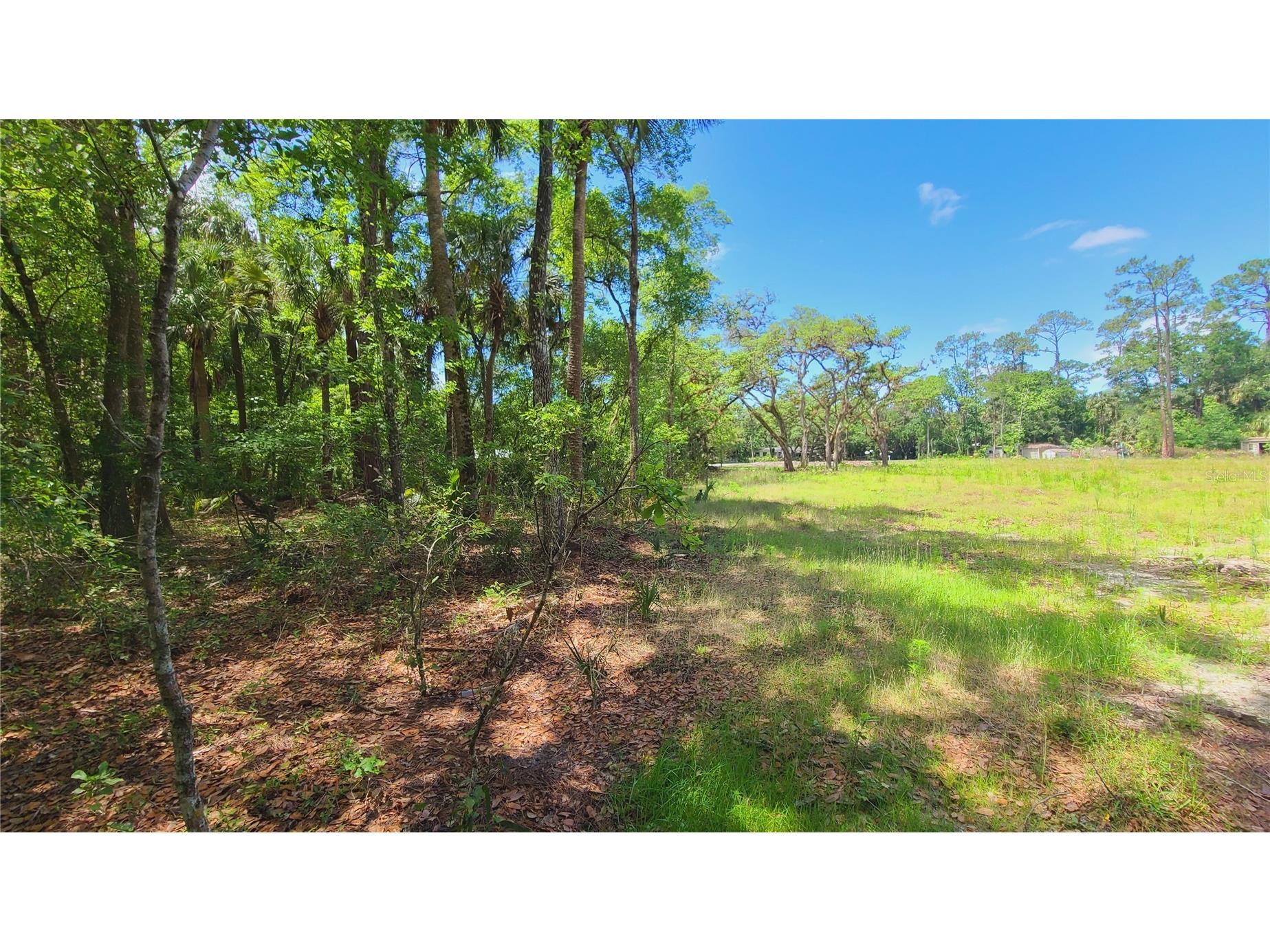 1013 Cupid Avenue Christmas FL 32709 S5146769 image34