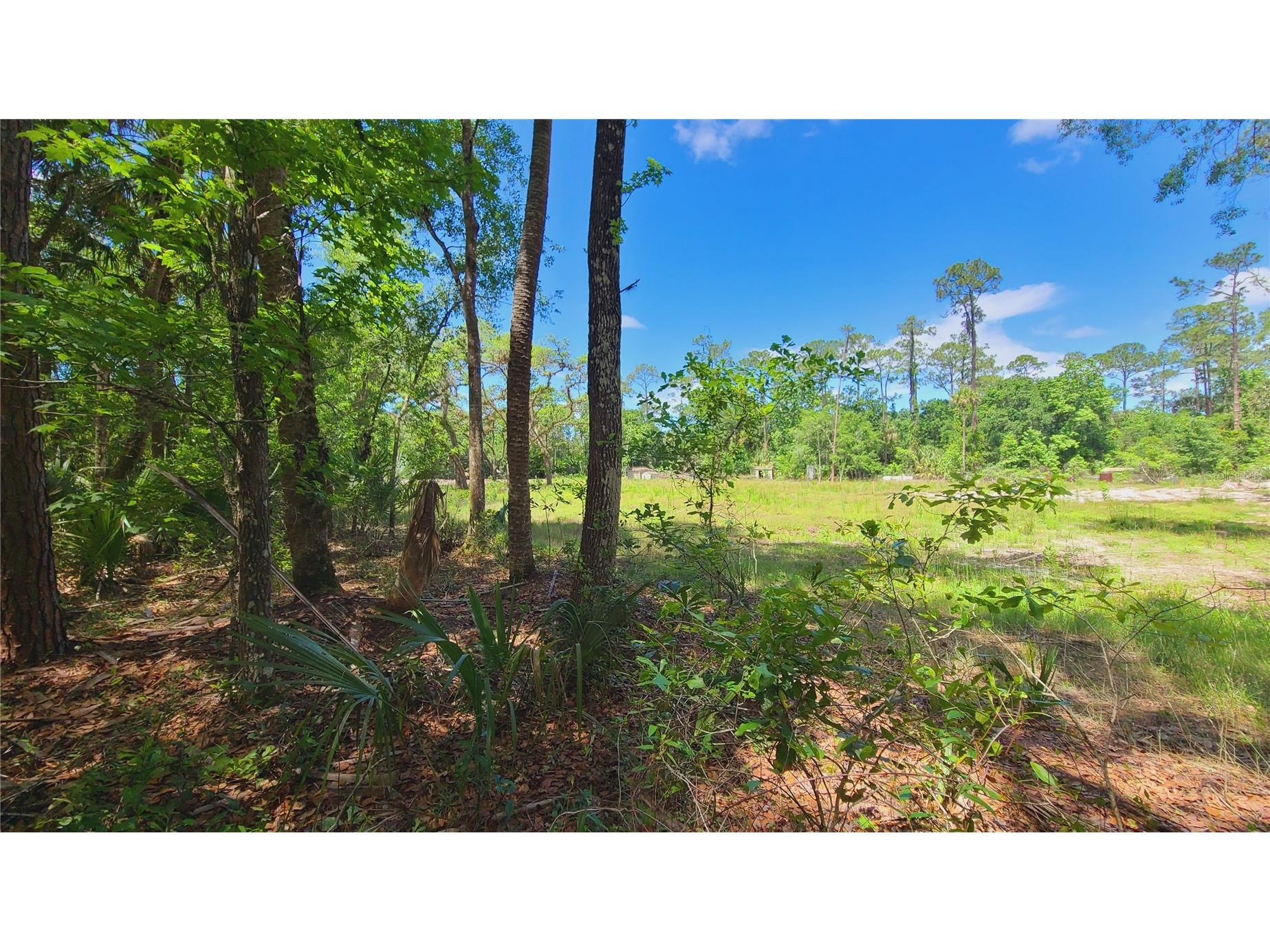 1013 Cupid Avenue Christmas FL 32709 S5146769 image35