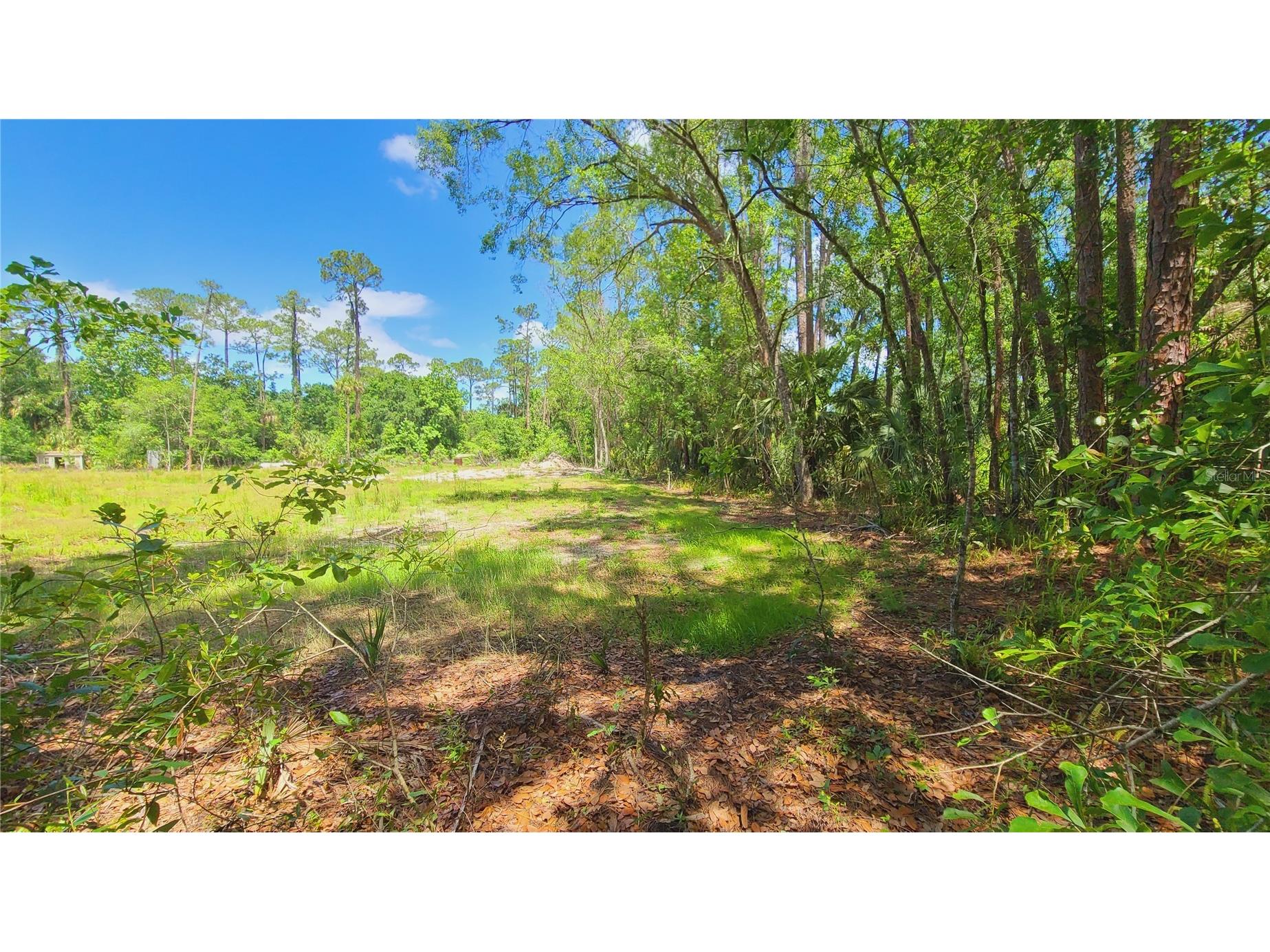 1013 Cupid Avenue Christmas FL 32709 S5146769 image36