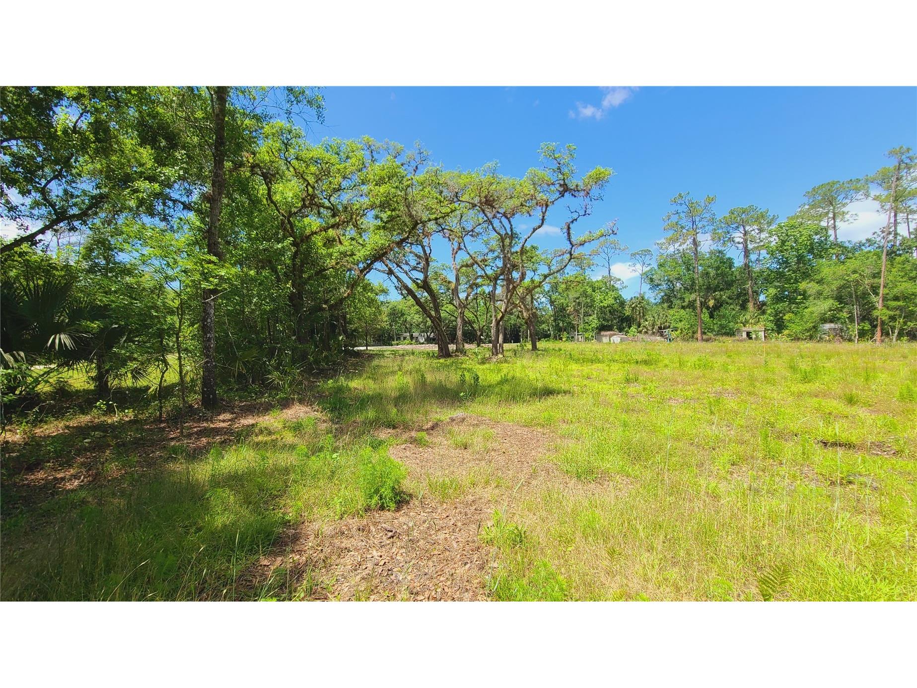 1013 Cupid Avenue Christmas FL 32709 S5146769 image37