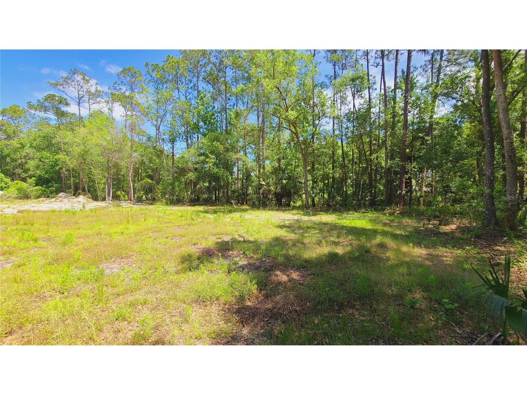 1013 Cupid Avenue Christmas FL 32709 S5146769 image38