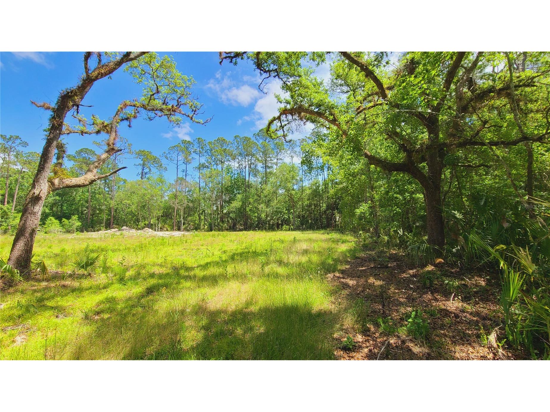 1013 Cupid Avenue Christmas FL 32709 S5146769 image44