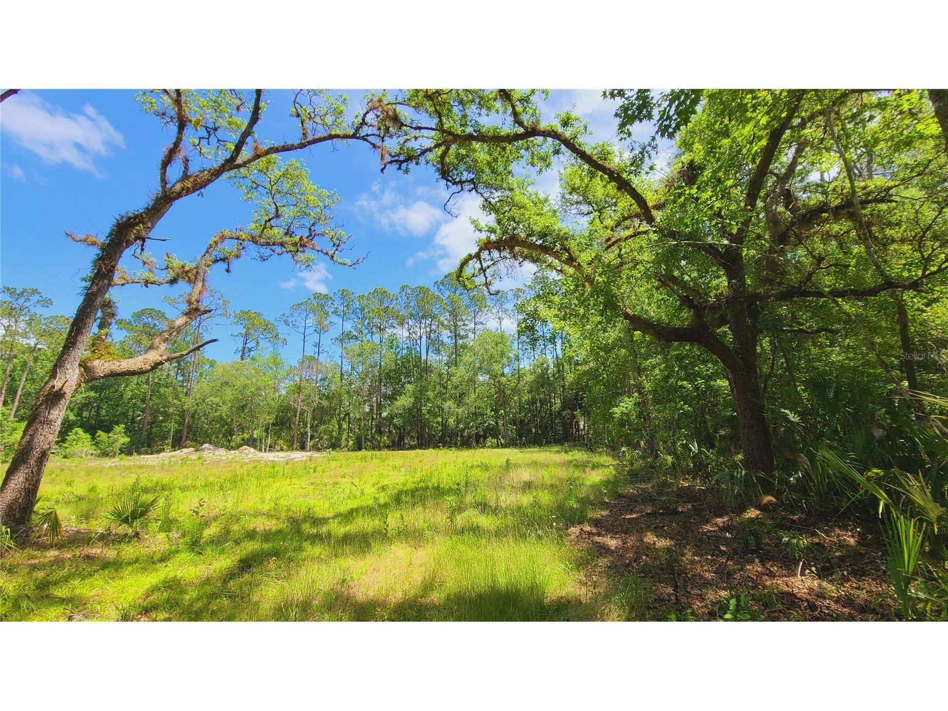 1013 Cupid Avenue Christmas FL 32709 S5146769 image45