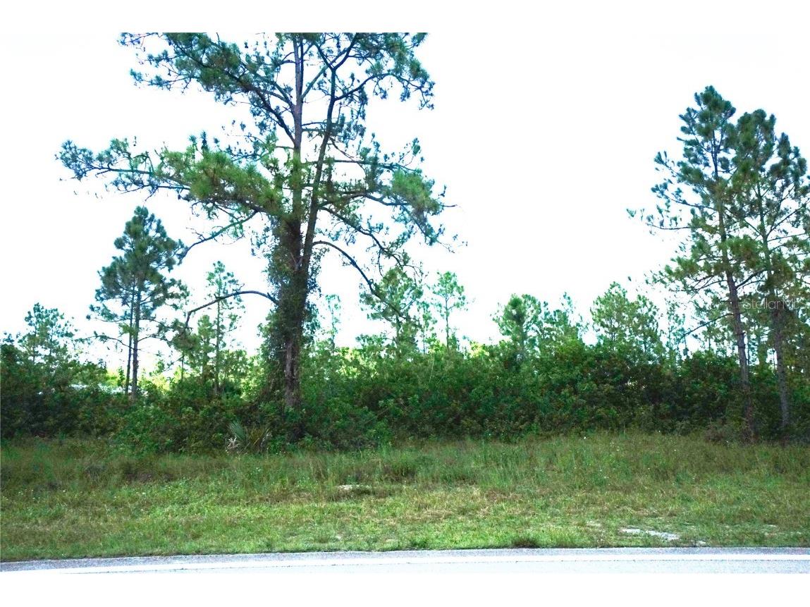 1013 E 12th Street Lehigh Acres FL 33972 O5967525 image1