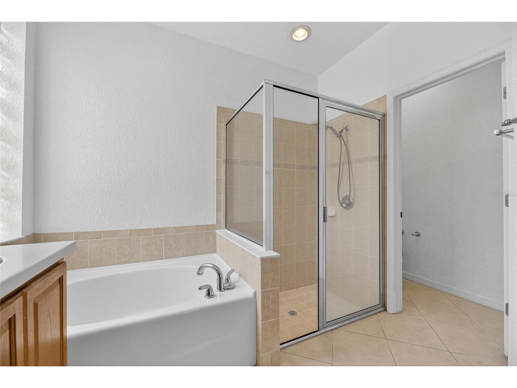 1013 Emerald Dunes Drive Sun City Center FL 33573 TB8484853 image38
