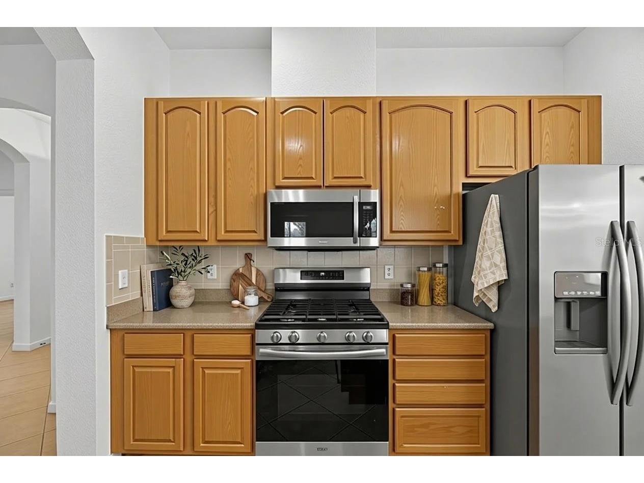 1013 Emerald Dunes Drive Sun City Center FL 33573 TB8484853 image7