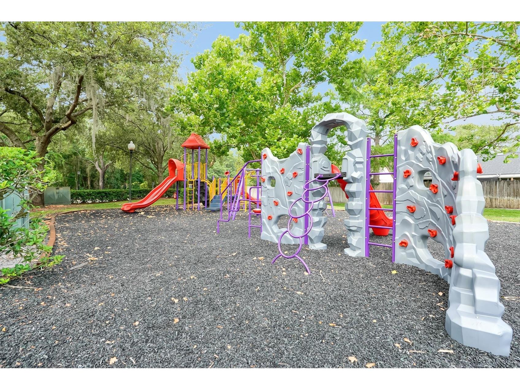1013 Gammage Point Oviedo FL 32765 O6407077 image55