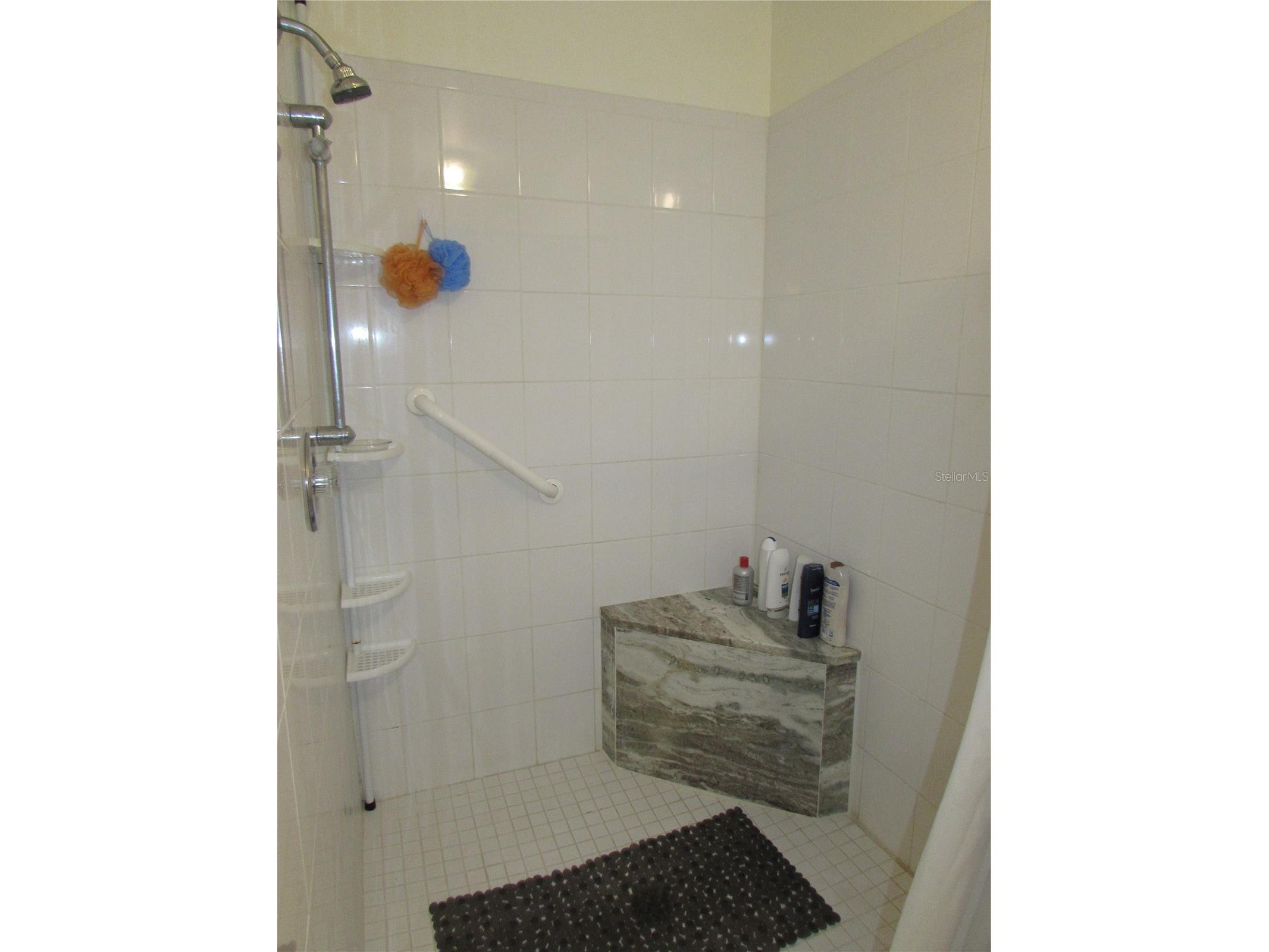 1013 Lake Avoca Court Tarpon Springs FL 34689 TB8502722 image17