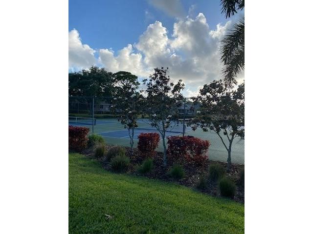 1013 Lake Avoca Court Tarpon Springs FL 34689 TB8502722 image27
