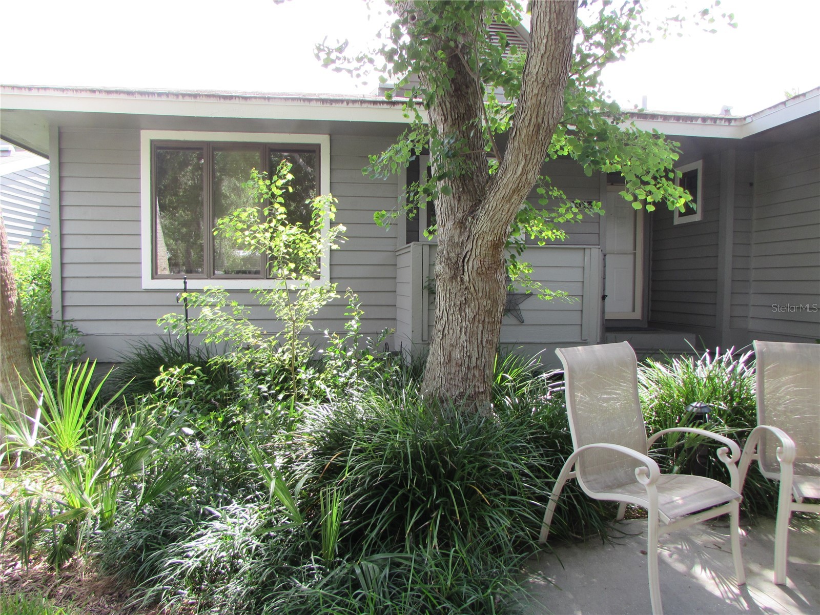 1013 Lake Avoca Court Tarpon Springs FL 34689 TB8502722 image3