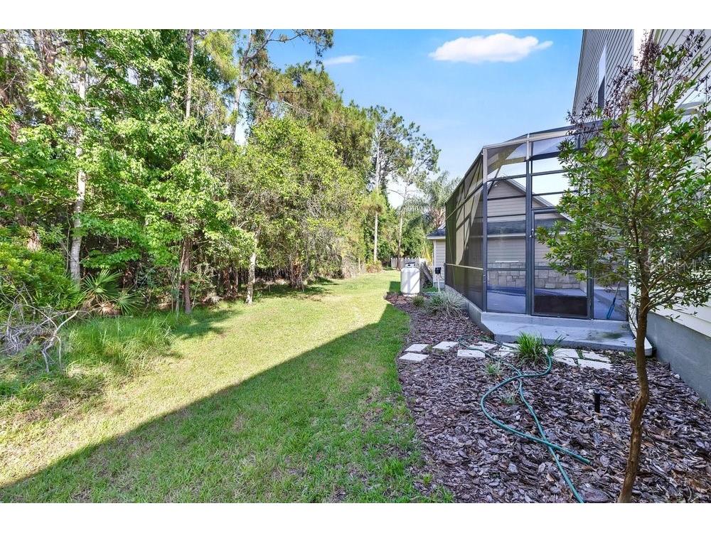 1013 Maiden Terrace Celebration FL 34747 O6406995 image33