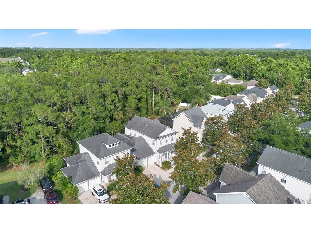 1013 Maiden Terrace Celebration FL 34747 O6406995 image37