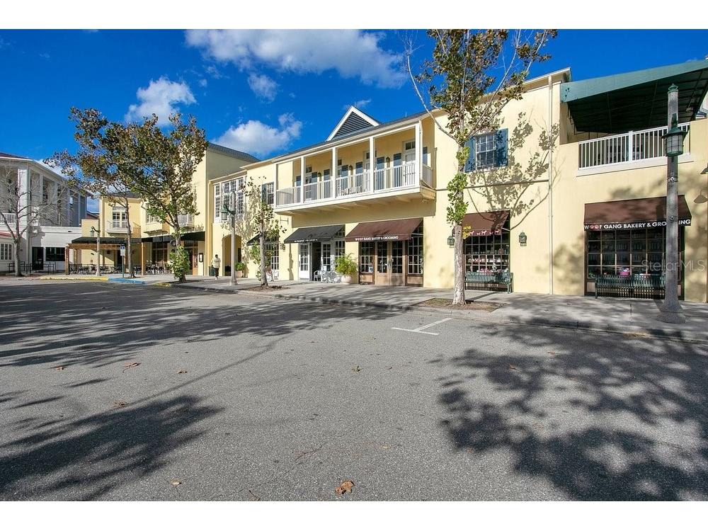 1013 Maiden Terrace Celebration FL 34747 O6406995 image53