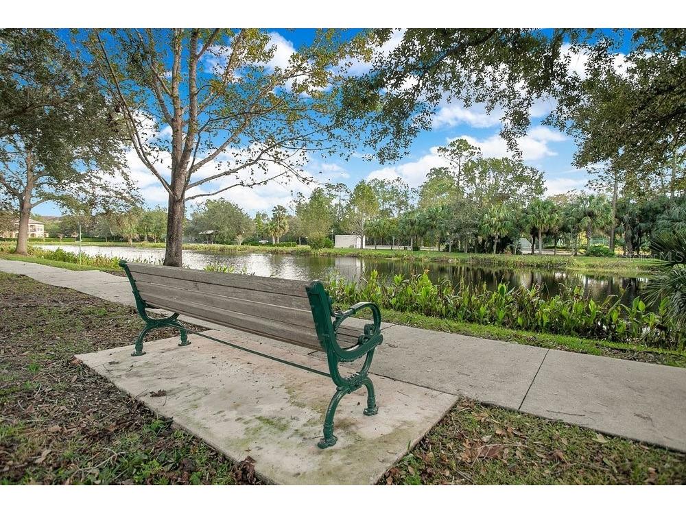 1013 Maiden Terrace Celebration FL 34747 O6406995 image56