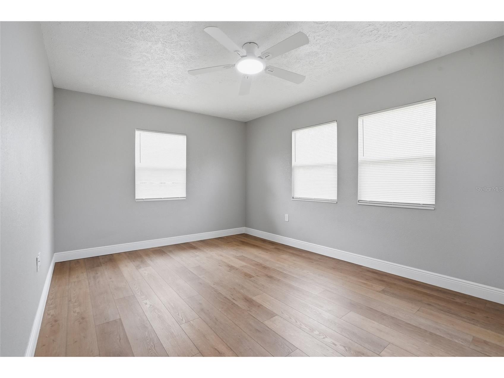 1013 N Bask Drive Tampa FL 33603 TB8507350 image18