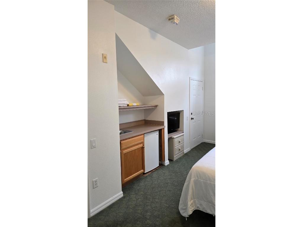 1013 Park Ridge Circle Kissimmee FL 34746 O6275327 image24