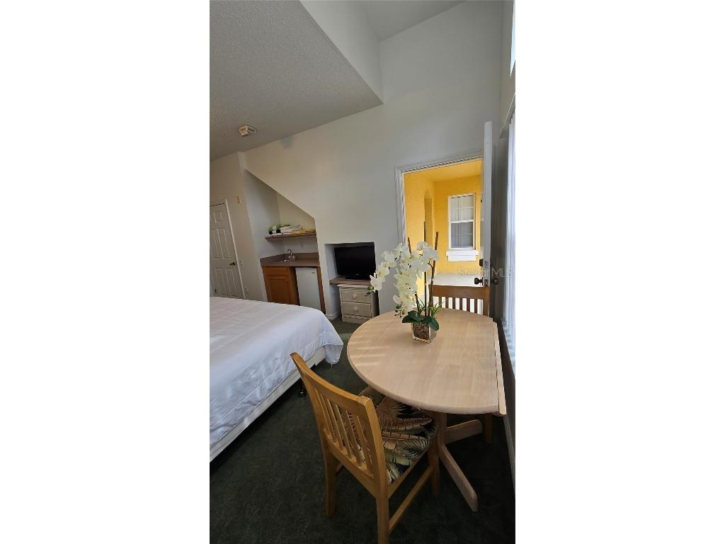 1013 Park Ridge Circle Kissimmee FL 34746 O6275327 image25