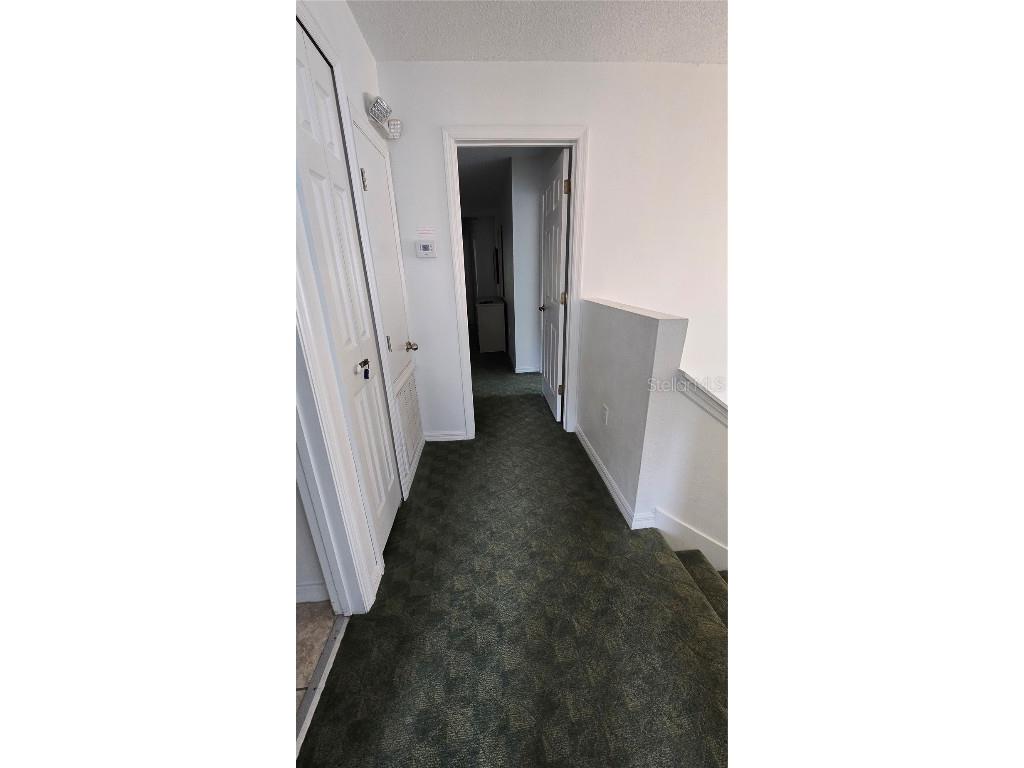 1013 Park Ridge Circle Kissimmee FL 34746 O6275327 image33