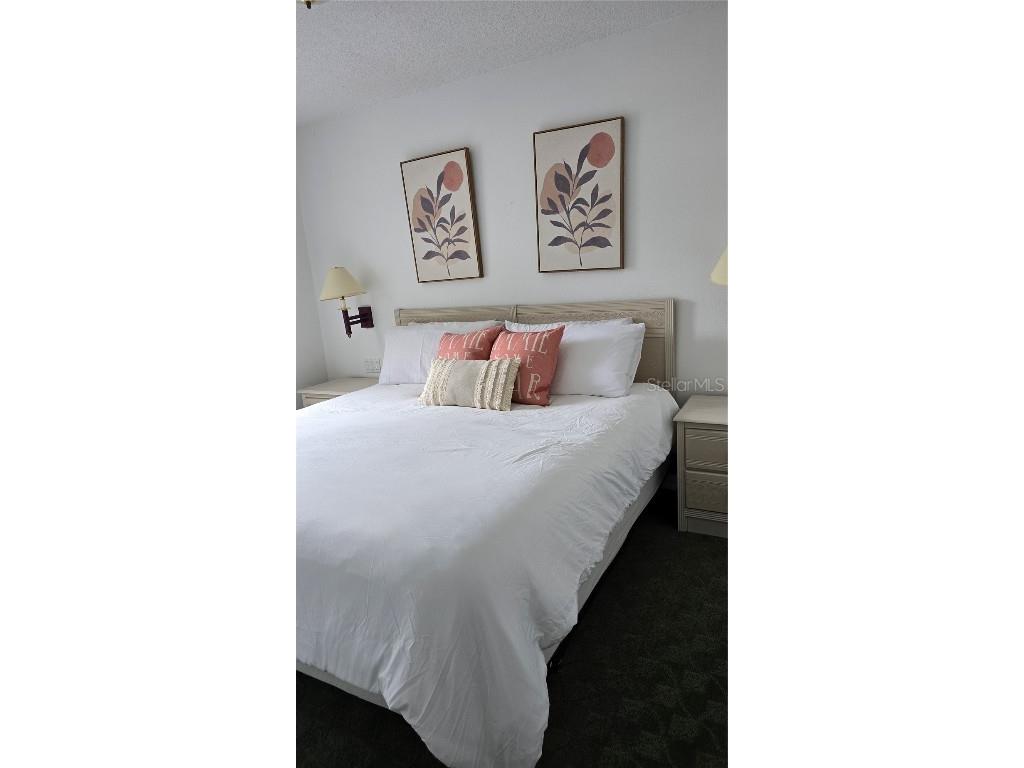 1013 Park Ridge Circle Kissimmee FL 34746 O6275327 image34