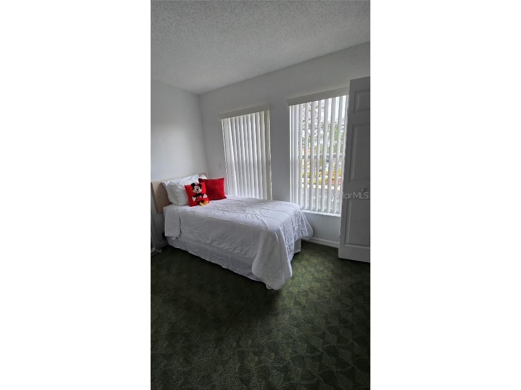 1013 Park Ridge Circle Kissimmee FL 34746 O6275327 image37