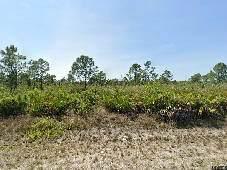 1013 Rush Avenue Lehigh Acres FL 33972 O6339738 image1