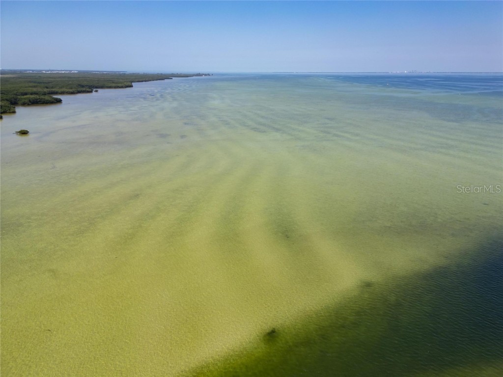 1013 Symphony Isles Boulevard Apollo Beach FL 33572 - TAMPA BAY T3517714 image18