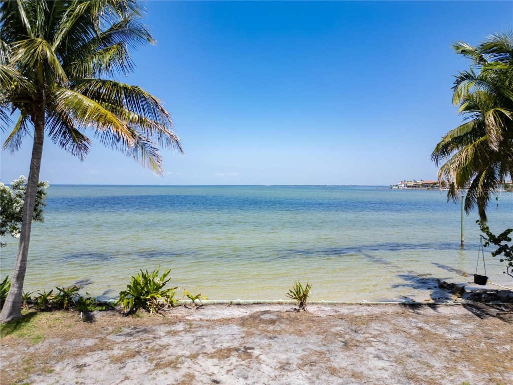 1013 Symphony Isles Boulevard Apollo Beach FL 33572 - TAMPA BAY T3517714 image19